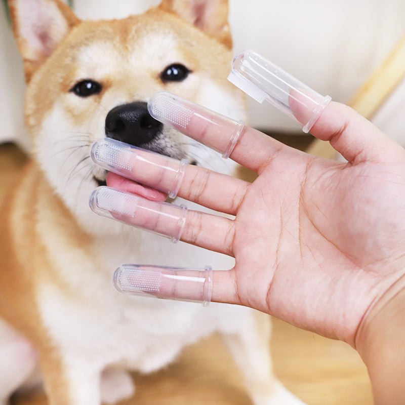 Escova de Dedos em Gel de Silicone para Animais de Estimação - Innovoda