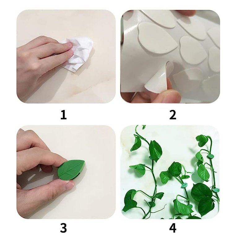 Fixação de parede para plantas - Liberdade vegetal elegante - Innovoda